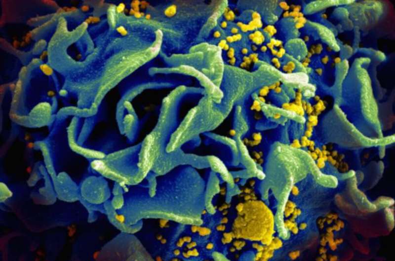 مدل‌های پیش‌بینی بیماری قلبی در بیماران HIV در کشورهای مختلف خطا دارند