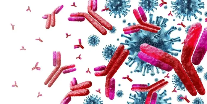 تحلیل 220 نمونه خون الگوی تحول سلول‌های ایمنی را در طول زندگی نشان داد