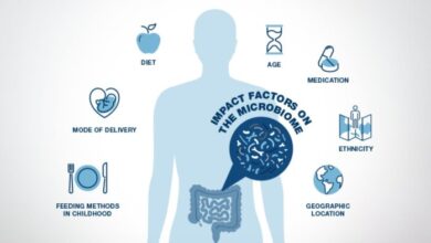 کلستریدیوم اسکیندنز التهاب روده را در موش‌های مبتلا به کولیت کاهش می‌دهد